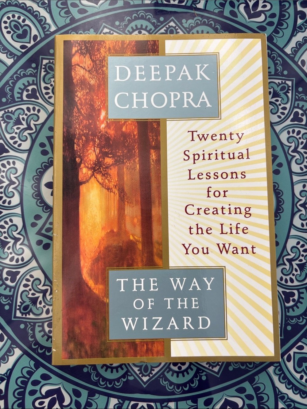 ~BUNDLE ONLY~The Way of the Wizard by Deepak Chopra - Twenty Spiritual Lessons